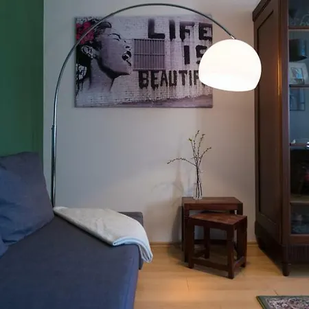 1 Grosse Bruedergasse 아파트 *